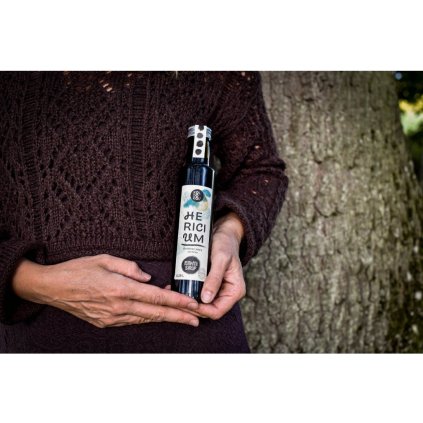 HERICIUM funkční sirup 250 ml KOLDOKOL