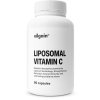 Vilgain Lipozomální vitamin C 60 kapslí