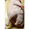 Kaczka gęś - Kaczka mulard cała chłodzona ok. 3 kg (2,5-3,5 kg)