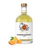 Anton Kaapl POMERANČOVÝ LIKÉR 22% 500ml
