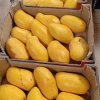 Medové mango cca 300g