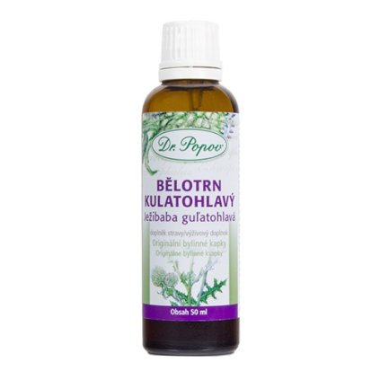 Bělotrn kulatohlavý originální bylinné kapky 50 ml Dr. Popov