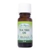 Tea Tree Oil silice 10 ml Dr. Popov