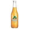 Mango JARRITOS 370ml