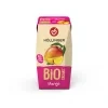 BIO Nektar mango 200 ml HOLLINGER