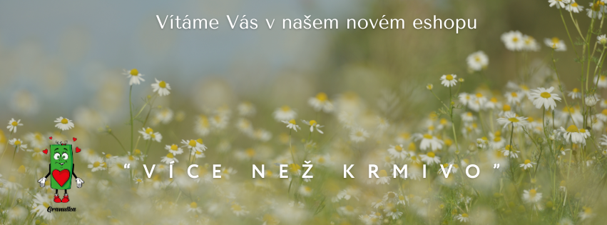 Úvodní
