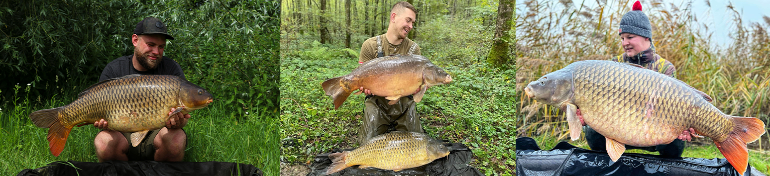 Dan, Tomáš, Lukáš- desktop