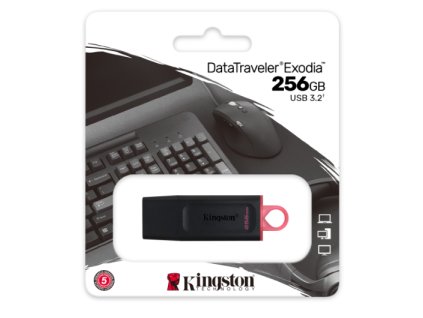Kingston Exodia DTX/256GB USB 3.2 Flash disk 256GB černý