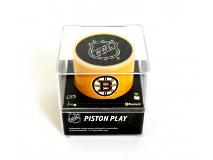 repro boston bruins