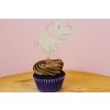 Safari zápichy na cupcakes – dřevěné dekorace