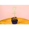 Zápichy na cupcakes – dřevěná čísla s korunkou