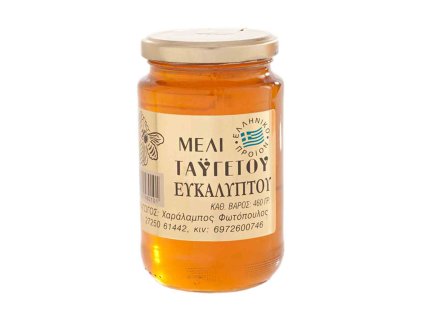 EfkalyptosWeb