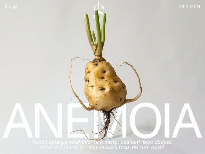 anemoia web