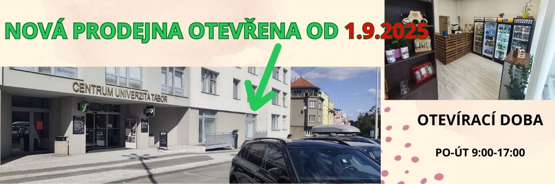 VANČUROVA