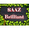 SAAZ Brilliant