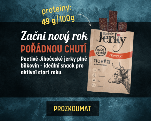 mobilní verze Nový rok 2026