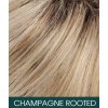CHAMPAGNE ROOTED