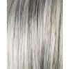 polar silver