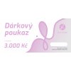 DL poukaz 3000 kopie