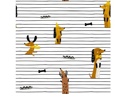 PARTY STRIPES