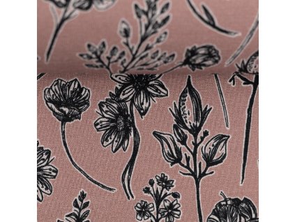 081362 100435 herbarium lila lotta ballen