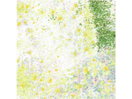 JG 10401 1B birds eye nani Iro nunoya PI2