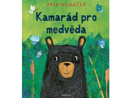 Kamarád pro medvěda