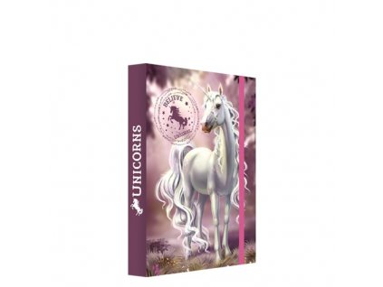 Box na sešity A5 Jumbo Believe in Unicorns