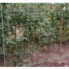 SIATKA PODPORA DO ROSLIN POMIDOROW OGORKOW FASOLI PNACZY 1x20 m Rodzaj siatka