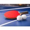 eng pl Table tennis balls ping pong balls 60 pieces white training 8155 11