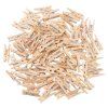 Sada mini kolíčku 2,5cm 100ks 01463 JIPOS