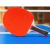 eng pl 2x paddle rackets for ping pong table tenisové gule case cover 8154 3
