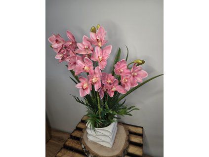 0c94dd5a 8d22 4ad2 a8c6 79c8e79c7fed