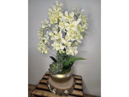 7148f32e 89ad 431d a49e 76534ccf40b8