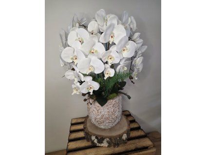 d27068e8 cf3e 4fa7 9736 dcccaa099bd9