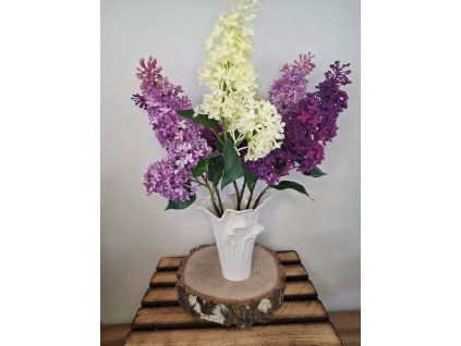 6125433d 6aca 4769 9cc8 ed9430c88b43