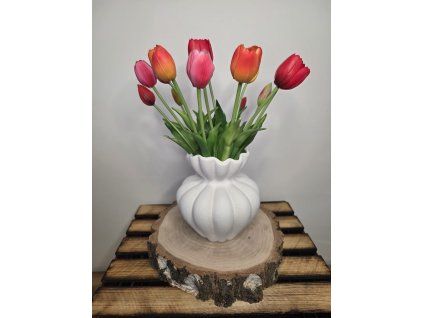 85d6e6e9 e2cc 40ac b347 0e8cc703230a