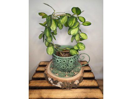 11fcda08 21f7 4a01 837c 70d62760c64a