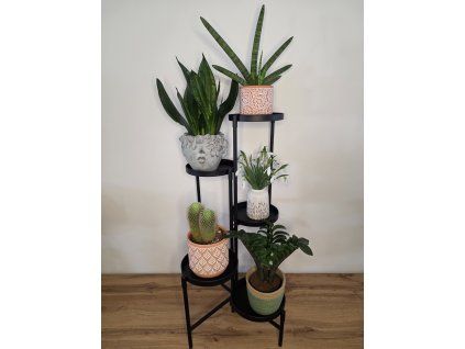 fb5fdaea 7a7c 4f39 bcb3 b45266a3490b 1 all 31123