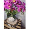 fb5fdaea 7a7c 4f39 bcb3 b45266a3490b 1 all 31985