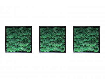 MECH SET 3 TMAVÝ KOPEČEK