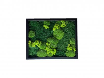 MECH 50X40 CM LITTLE FOREST