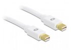 DisplayPort mini / DisplayPort mini