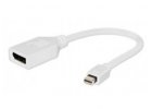 DisplayPort mini / DisplayPort