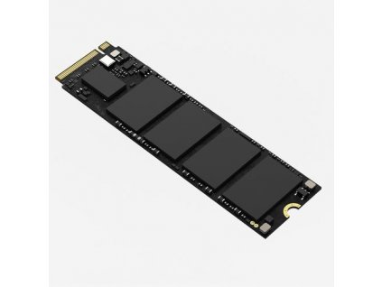 HIKSEMI SSD E1000 512GB M.2 PCIe Gen3x4, NVMe, 3D NAND, (čtení max. 2465MB/s zápis max. 2410MB/s