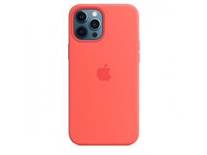 iPhone 12 Pro Max Silicone Case MagSafe P.Cit. /SK