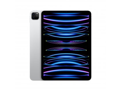 iPad Pro 11" Wi-Fi + Cellular 128GB Stříbrný (2022)