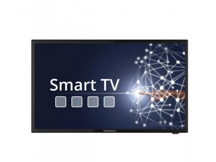 Megasat Camping TV Royal Line IV SMART 24", 60,5cm (23,8"), Android 11.0