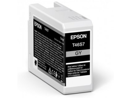 Epson Singlepack Gray T46S7 Ultrachrome
