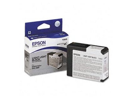 Epson T580 Light Light Black (80 ml)